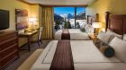 Deluxe Guestroom Queen
